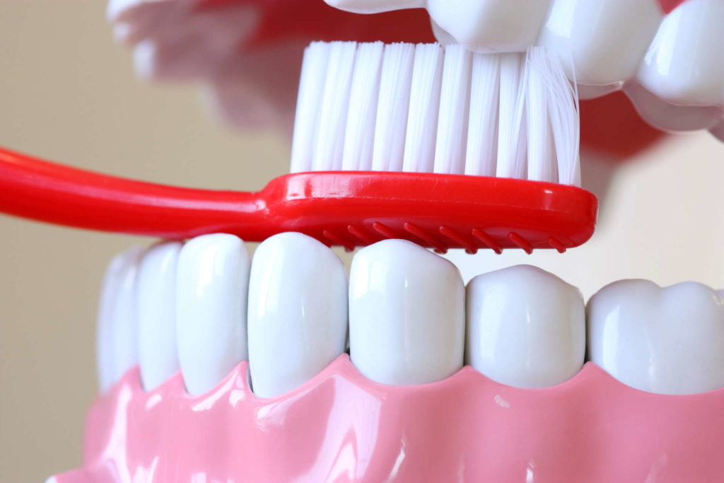 Dental Gigi Check Up and Clean